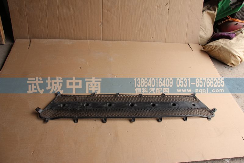 WG1664110061,前面罩網(wǎng)A7,濟(jì)南武城重型車外飾件廠