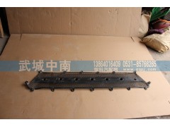WG1664110061,前面罩網(wǎng)A7,濟(jì)南武城重型車外飾件廠