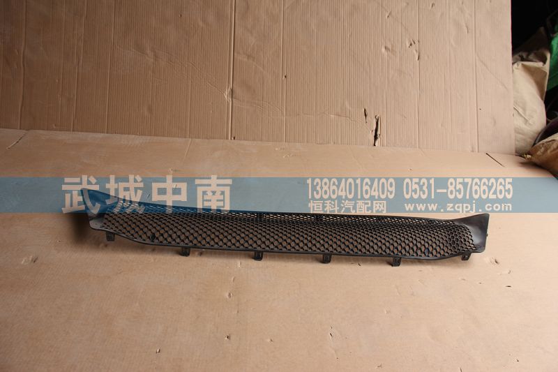 WG1664242009,保險(xiǎn)杠裝飾網(wǎng)I（上部用的）T7,濟(jì)南武城重型車外飾件廠