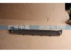 WG1664242009,保險(xiǎn)杠裝飾網(wǎng)I（上部用的）T7,濟(jì)南武城重型車外飾件廠
