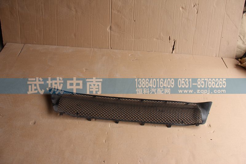 WG1664242009,保險(xiǎn)杠裝飾網(wǎng)I（上部用的）T7,濟(jì)南武城重型車外飾件廠