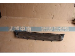 WG1664242009,保險(xiǎn)杠裝飾網(wǎng)I（上部用的）T7,濟(jì)南武城重型車外飾件廠