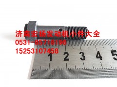 VG1560070012,M10潤(rùn)滑油管空心螺栓,濟(jì)南耀順汽車(chē)配件有限公司（重汽、濰柴發(fā)動(dòng)機(jī)小件專(zhuān)賣(mài)）