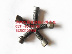 612600050038,EVB氣門調(diào)整螺栓,濟南耀順汽車配件有限公司（重汽、濰柴發(fā)動機小件專賣）