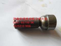 612600050038,EVB氣門調(diào)整螺栓,濟南耀順汽車配件有限公司（重汽、濰柴發(fā)動機小件專賣）