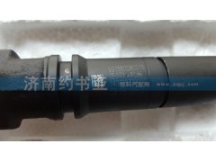 VG1557080015,噴油器總成4氣門,濟南約書亞汽車配件有限公司（原華魯信業(yè)）