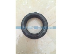 710W90685-0311,角齒螺母新式,濟南信達重汽配件有限公司