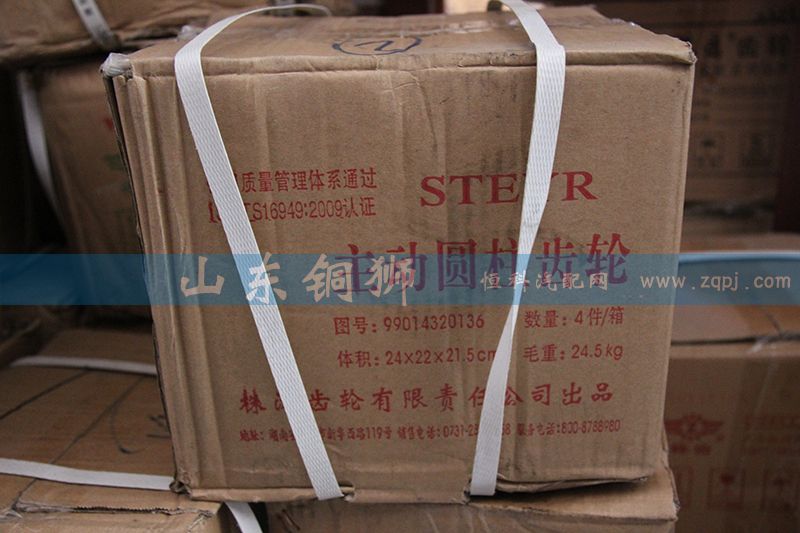 株齒 主動圓柱齒輪 99014320136/99014320136