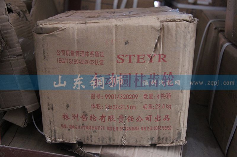 株齒 主動(dòng)圓柱齒輪 99014320209/99014320209