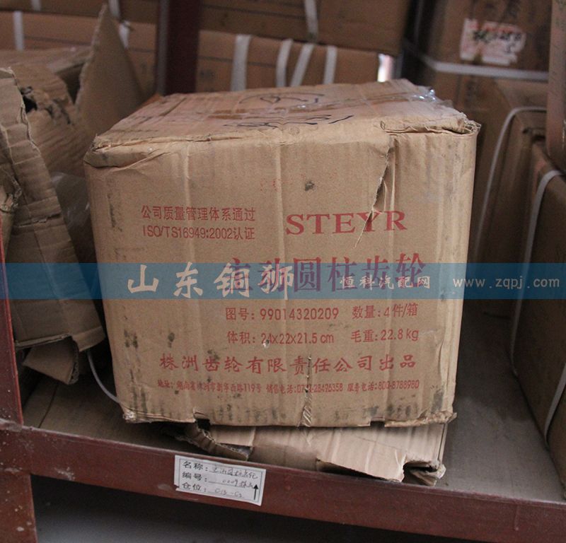 株齒 主動(dòng)圓柱齒輪 99014320209/99014320209