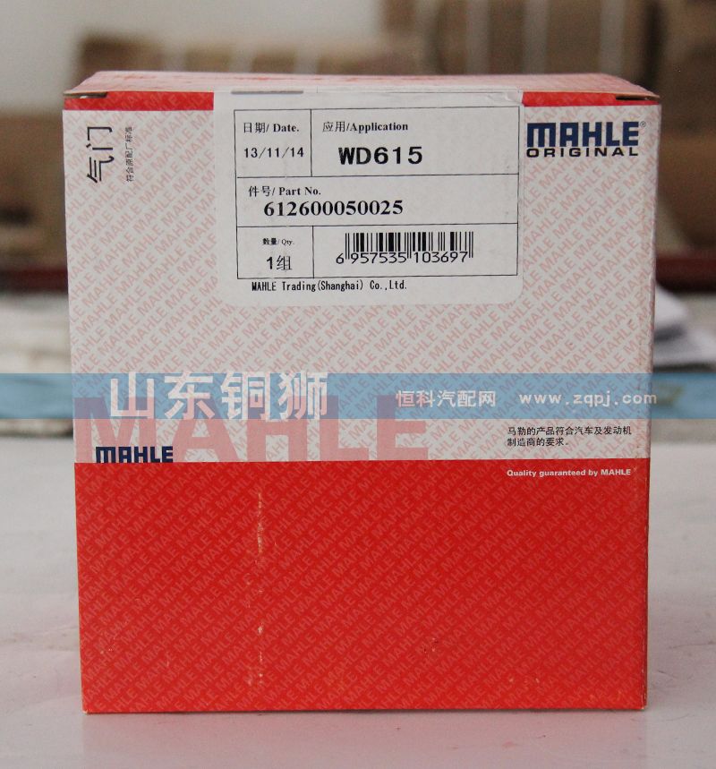 馬勒WD615活塞612600050025/612600050025