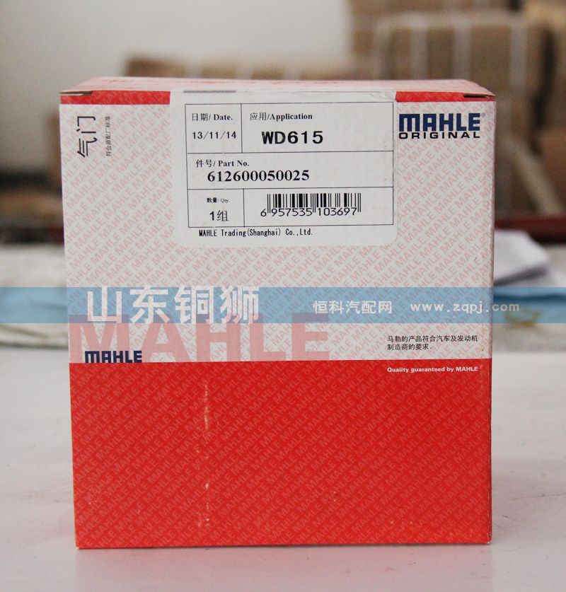馬勒WD615活塞612600050025/612600050025