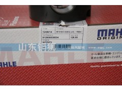 612600030034,馬勒濰柴10升歐三發(fā)動機(jī)活塞,山東銅獅汽車零部件有限公司