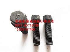 VG1099080100,噴油器壓緊塊螺栓10*35,濟(jì)南耀順汽車配件有限公司（重汽、濰柴發(fā)動(dòng)機(jī)小件專賣）