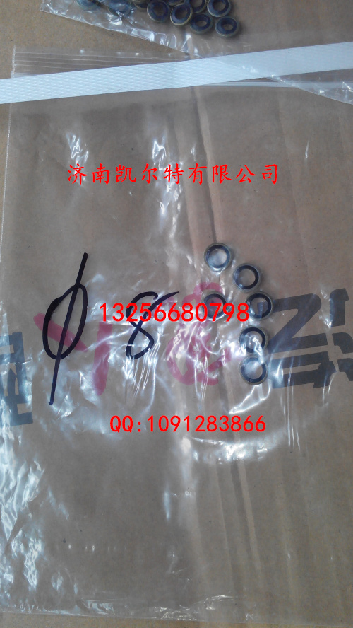 VG2600080201,密封墊圈,濟(jì)南凱爾特商貿(mào)有限公司