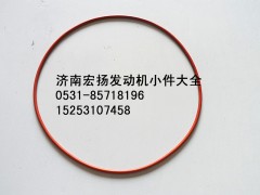 90003120088,WP12噴油器法蘭密封圈,濟(jì)南耀順汽車配件有限公司（重汽、濰柴發(fā)動機(jī)小件專賣）