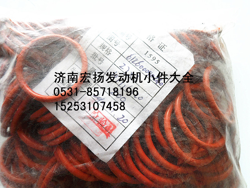 612600040240,WP10噴油器銅套密封圈,濟(jì)南耀順汽車配件有限公司（重汽、濰柴發(fā)動(dòng)機(jī)小件專賣）
