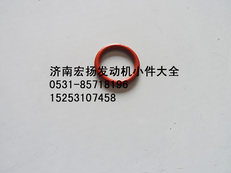 612639000019,WP12機(jī)油泵密封圈,濟(jì)南耀順汽車配件有限公司（重汽、濰柴發(fā)動機(jī)小件專賣）