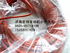 612630030022,WP12后取力密封圈,濟南耀順汽車配件有限公司（重汽、濰柴發(fā)動機小件專賣）