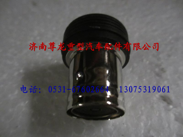 81.28901.0017,陜汽德龍點(diǎn)煙器,濟(jì)南尊龍(原天盛)陜汽配件銷售有限公司