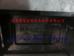 81.61446.0037,陜汽德龍翹班開關(guān)蓋板,濟(jì)南尊龍(原天盛)陜汽配件銷售有限公司