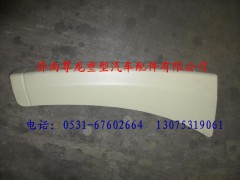 81.61510.5161,陜汽德龍左裝飾件總成,濟南尊龍(原天盛)陜汽配件銷售有限公司