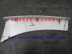81.61510.5161,陜汽德龍左裝飾件總成,濟南尊龍(原天盛)陜汽配件銷售有限公司