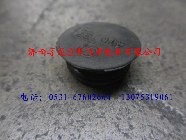 81.96002.0414,陜汽德龍堵塞,濟(jì)南尊龍(原天盛)陜汽配件銷售有限公司