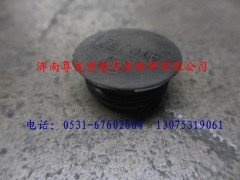 81.96002.0414,陜汽德龍堵塞,濟(jì)南尊龍(原天盛)陜汽配件銷售有限公司