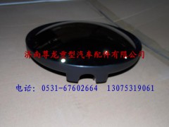 DZ13241770088,陜汽德龍前下視鏡總成,濟南尊龍(原天盛)陜汽配件銷售有限公司