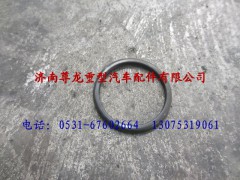 DZ9112340093,陜汽德龍油封,濟南尊龍(原天盛)陜汽配件銷售有限公司