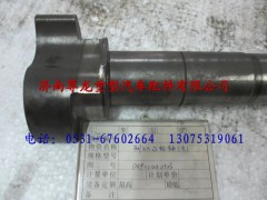 DZ9112440503,汽漢德車橋制動(dòng)凸輪軸（左）,濟(jì)南尊龍(原天盛)陜汽配件銷售有限公司