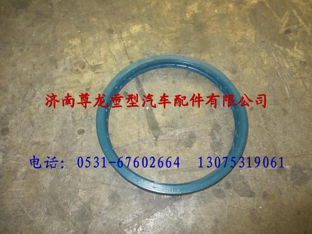 DZ90129340063,陜汽德龍組合油封（左）,濟南尊龍(原天盛)陜汽配件銷售有限公司