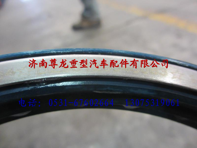 DZ90129340063,陜汽德龍組合油封（左）,濟南尊龍(原天盛)陜汽配件銷售有限公司