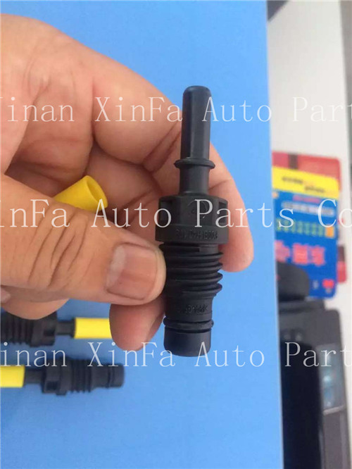 612640130088 博世尿素噴射泵的噴嘴/612640130088  B4440420024