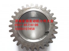 612600020234,WD618曲軸齒輪,濟(jì)南耀順汽車配件有限公司（重汽、濰柴發(fā)動(dòng)機(jī)小件專賣）
