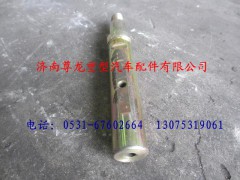 DZ9100520007,陜汽德龍彈簧銷,濟南尊龍(原天盛)陜汽配件銷售有限公司