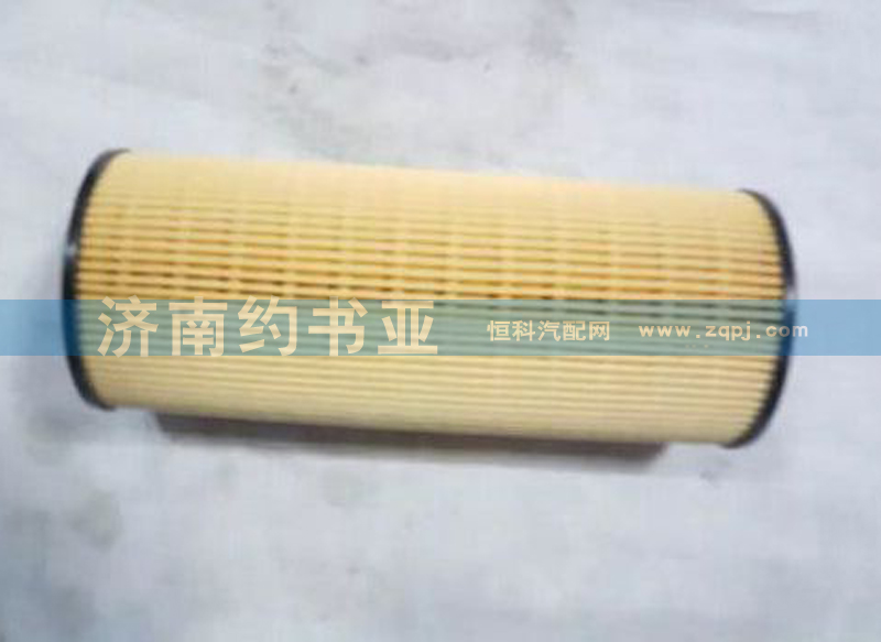 201V12503-0061,燃油濾清器芯 帶O形圈（MC11、MC07）（T7H）,濟南約書亞汽車配件有限公司（原華魯信業(yè)）