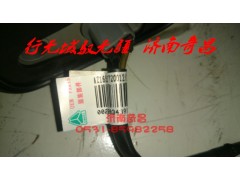 AZ1651720012,右后示廓燈,濟南奇昌汽車配件有限公司