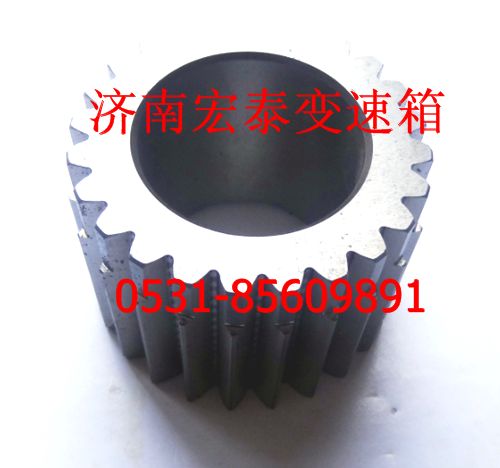 WG2210100001 太陽(yáng)輪/WG2210100001