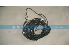 AZ9925770250,駕駛室頂蓬線束（高頂）,濟(jì)南信興汽車配件貿(mào)易有限公司