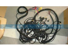 AZ9925771137,底盤線束(S32、HW橋),濟南信興汽車配件貿(mào)易有限公司