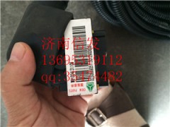 WG1034131109 SCR線束總成,WG1034131109 SCR線束總成,濟南信發(fā)汽車配件有限公司