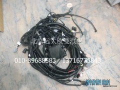 H0362040051A0,底盤線束總成,北京遠大歐曼汽車配件有限公司
