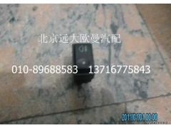 H0373040015A0,后霧燈開關(guān),北京遠(yuǎn)大歐曼汽車配件有限公司