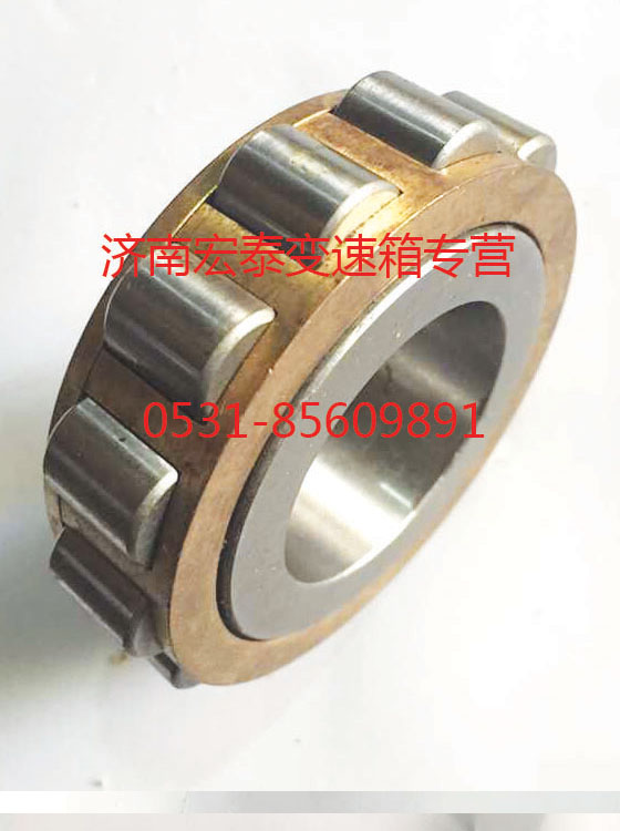 圓柱滾子軸承 RN309 (不帶外圈)/WG9003321309