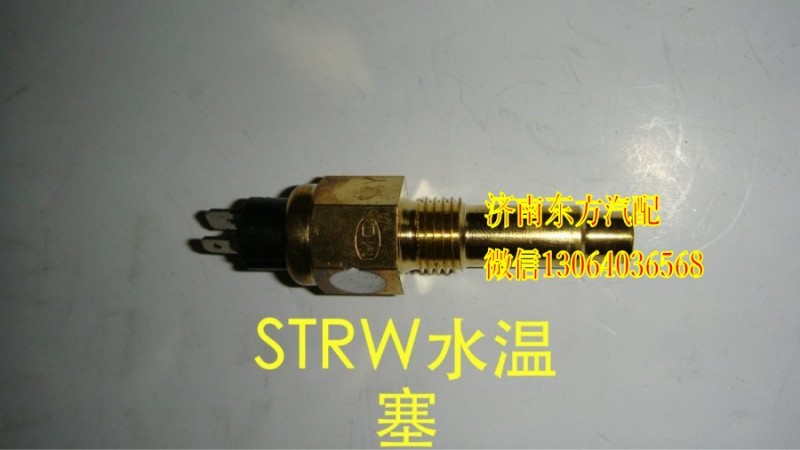VG14090067,水溫傳感器(STRW),濟(jì)南東方重汽配件銷(xiāo)售中心