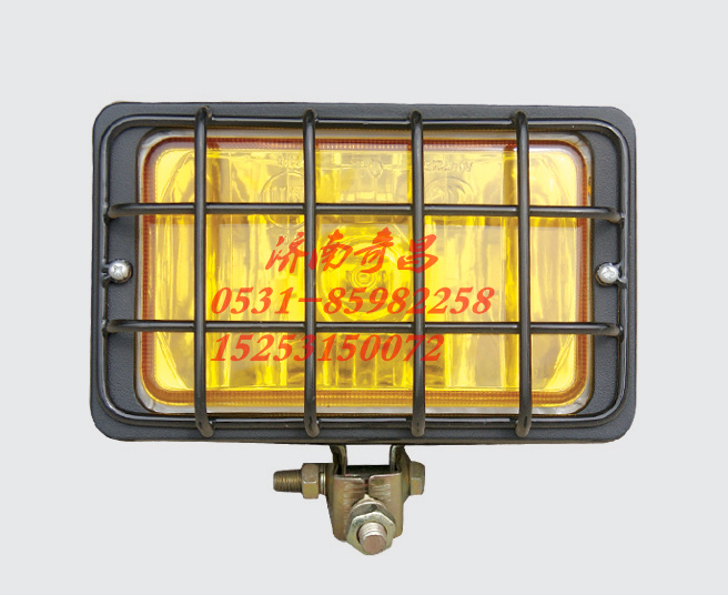 WG9200720043,斯太爾王霧燈（帶防護(hù)罩）,濟(jì)南奇昌汽車(chē)配件有限公司