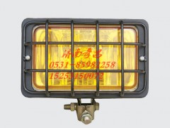 WG9200720043,斯太爾王霧燈（帶防護(hù)罩）,濟(jì)南奇昌汽車(chē)配件有限公司