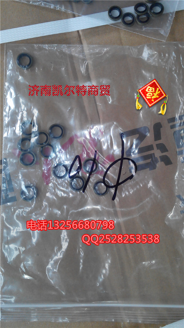 VG9003080003復(fù)合密封墊圈/VG9003080003